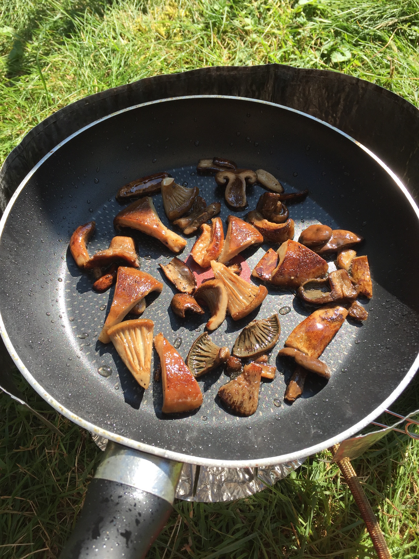 Fried pickled Lactarius