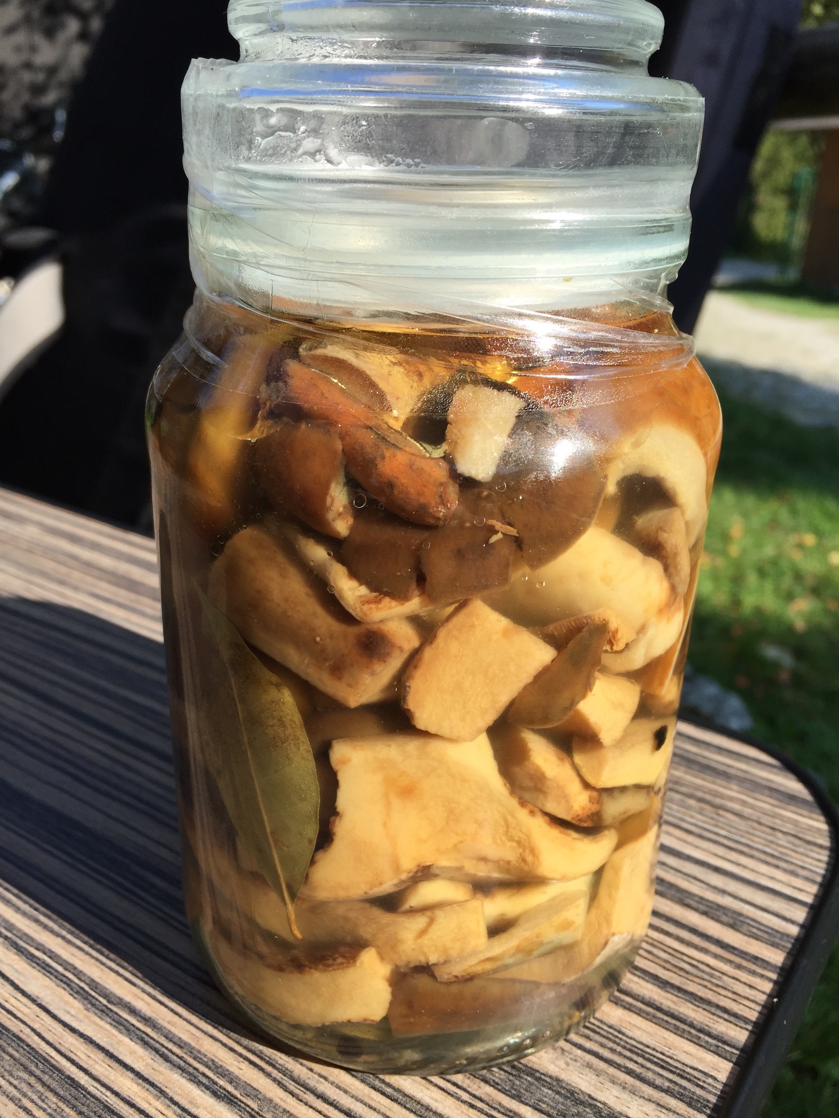 Pickled Lactarius